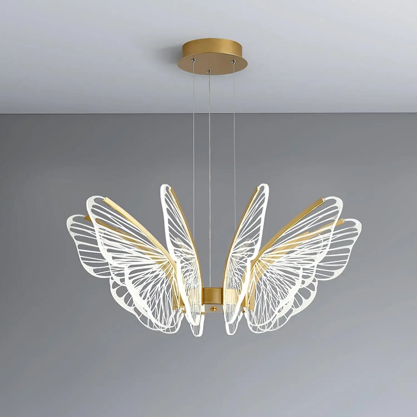 Phalaenopsis Chandelier - Nuvé