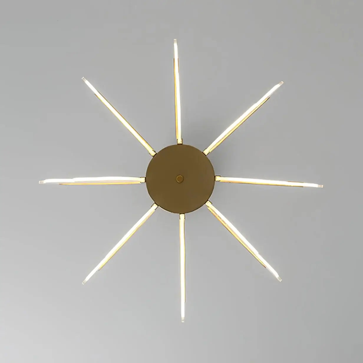 Phalaenopsis Chandelier - Nuvé