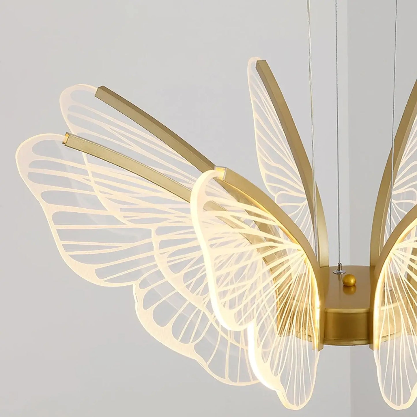 Phalaenopsis Chandelier - Nuvé