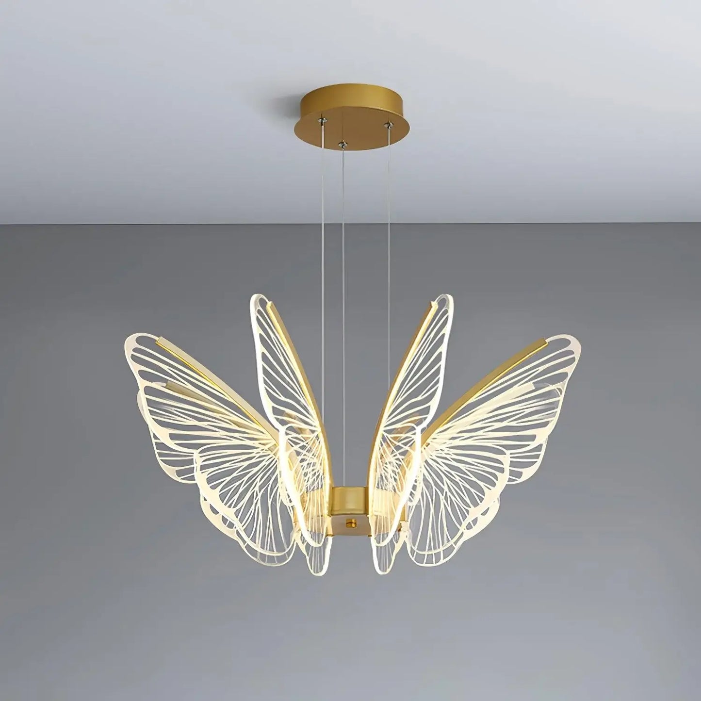 Phalaenopsis Chandelier - Nuvé