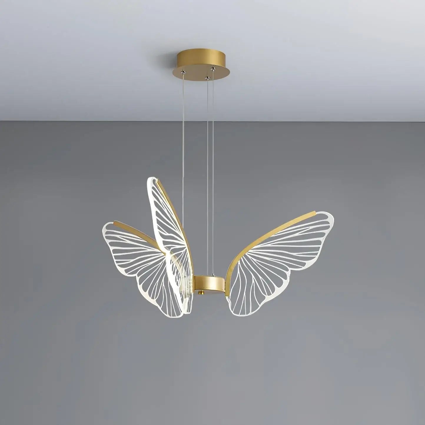 Phalaenopsis Chandelier - Nuvé
