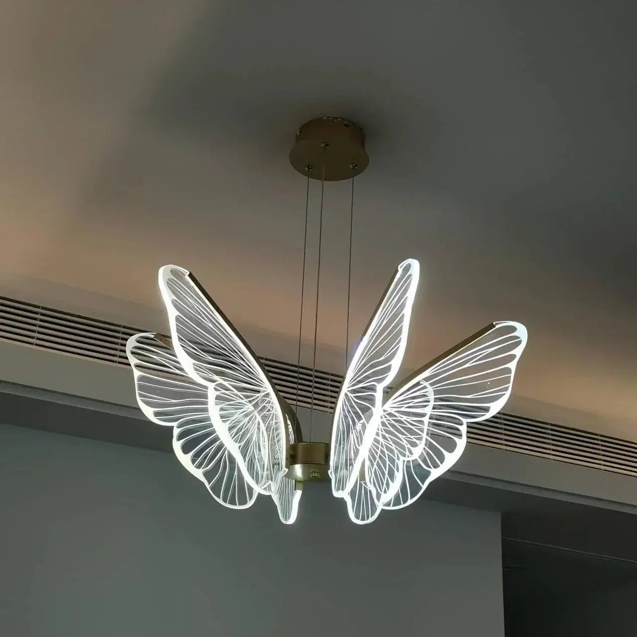 Phalaenopsis Chandelier - Nuvé