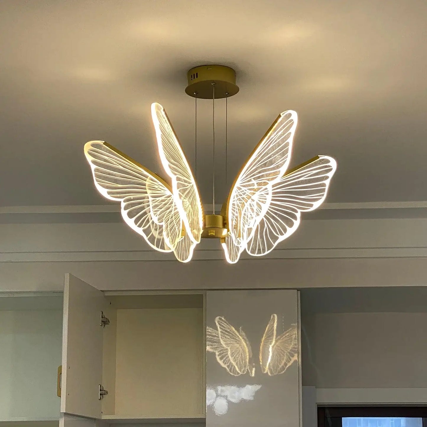Phalaenopsis Chandelier - Nuvé