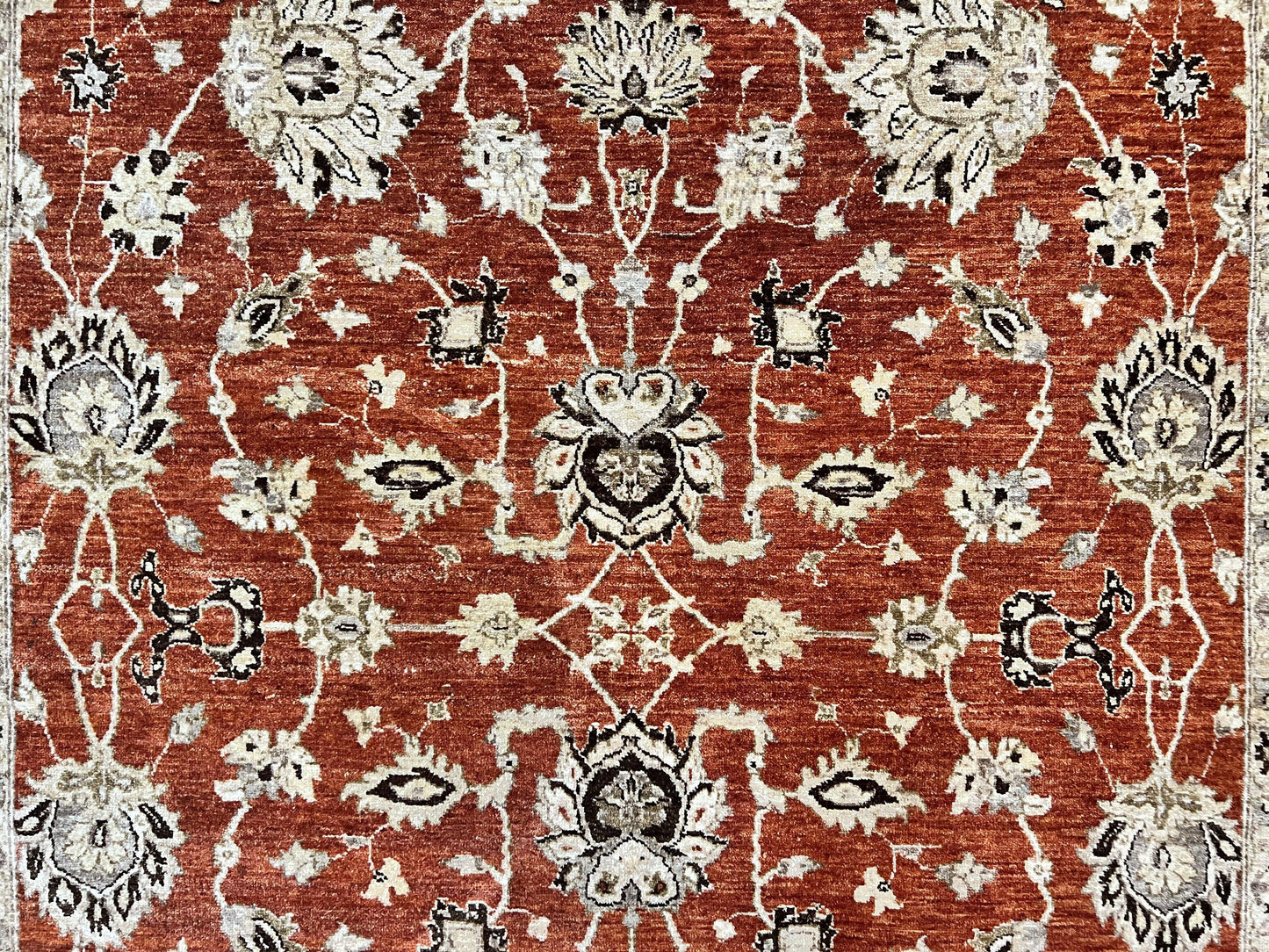 Pakistani Oriental Rug 6x9, Red, Floral Allover, Handmade Wool Rug, Peshawar Chobi Rug, Pak Persian Carpet 6 x 9 - Nuvé