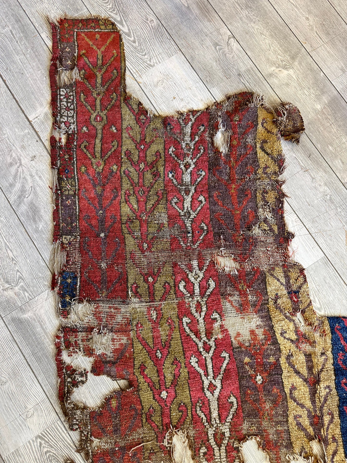 Anatolian Tribal Rug Fragment | 19th Century Wool Textile Art 70" x 52" - Nuvé