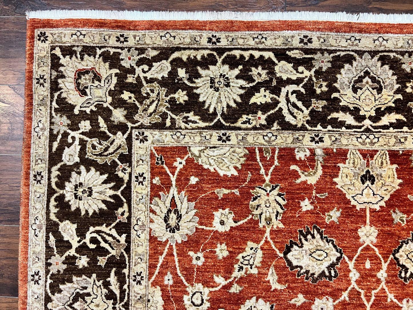 Pakistani Oriental Rug 6x9, Red, Floral Allover, Handmade Wool Rug, Peshawar Chobi Rug, Pak Persian Carpet 6 x 9 - Nuvé