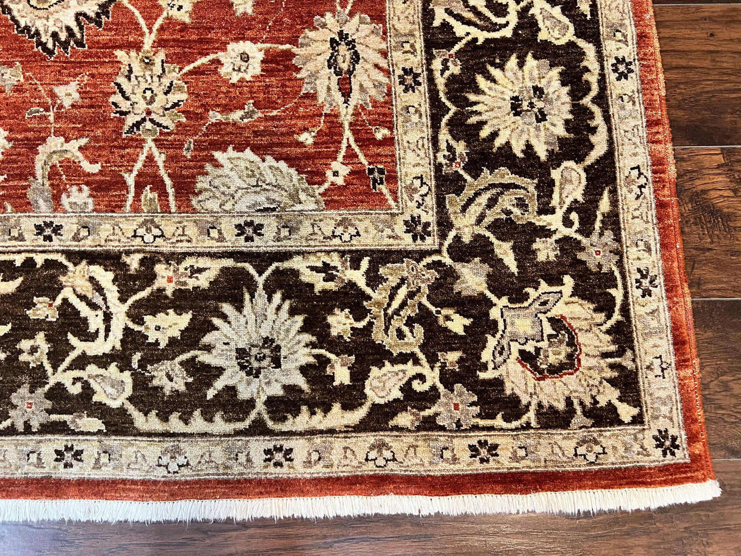 Pakistani Oriental Rug 6x9, Red, Floral Allover, Handmade Wool Rug, Peshawar Chobi Rug, Pak Persian Carpet 6 x 9 - Nuvé