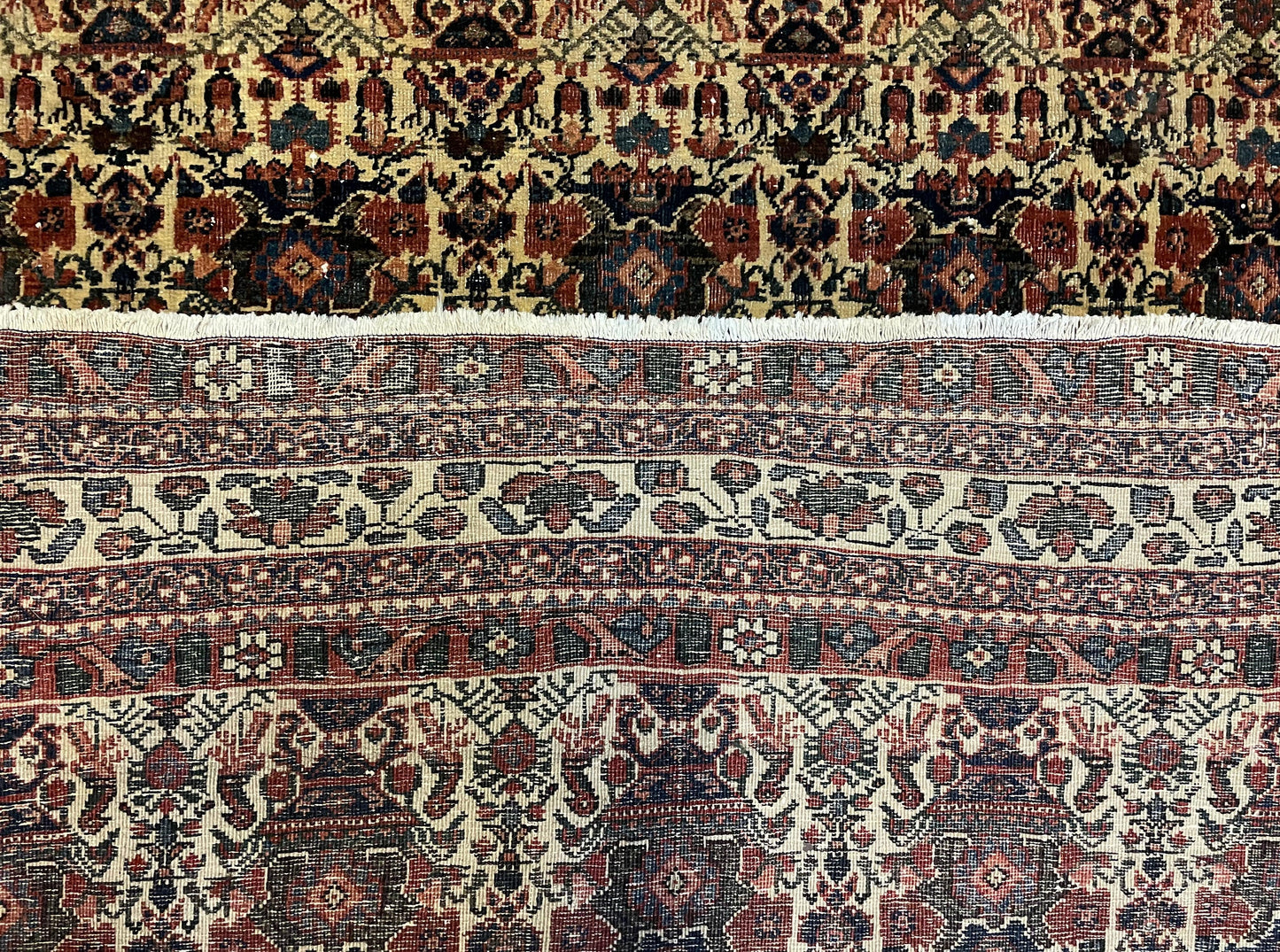 Antique Persian Afshar Rug 5x7, Wool Hand Knotted Oriental Carpet 5 x 7 ft, Repeated Motif Allover, Cream and Maroon, Tribal Rug, Medium Sized Rug, Zil-i-Sultan Design - Nuvé