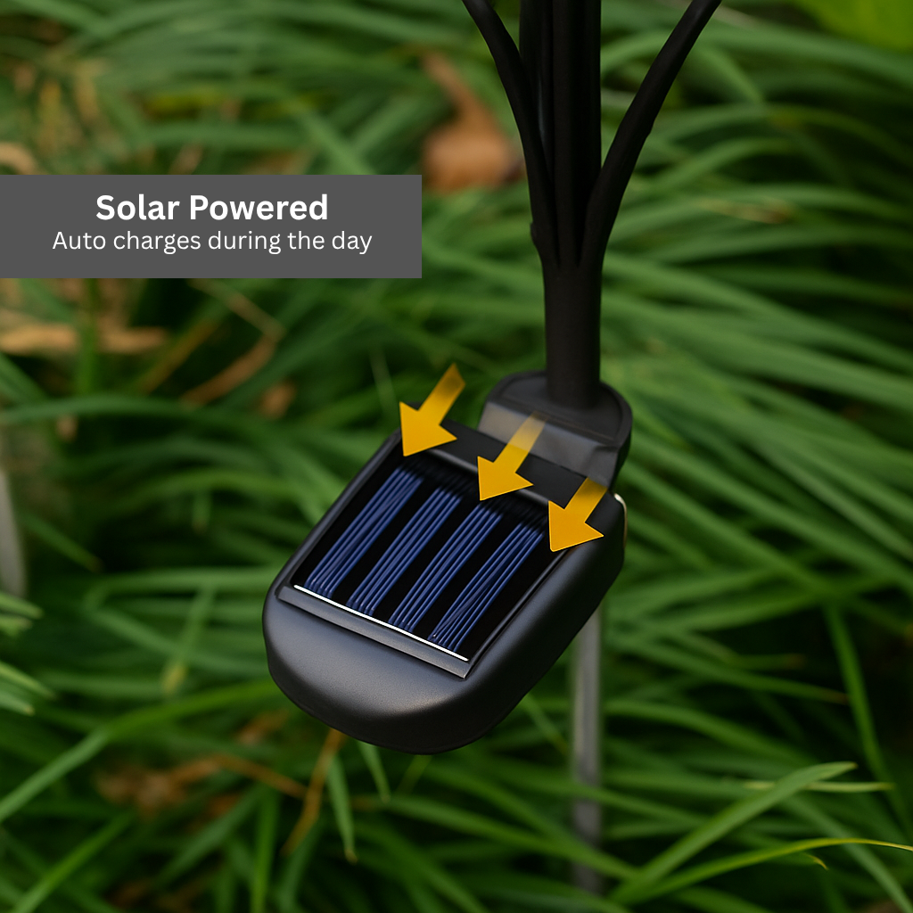 Nuvé® Luma Firefly - Nuvé