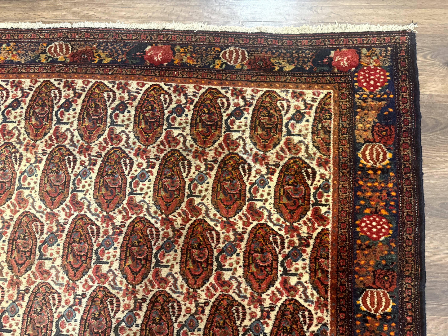 Antique Persian Kurdish Senneh Rug 4.6 x 6.5, Repeated Paisely Boteh Design, Handmade - Nuvé
