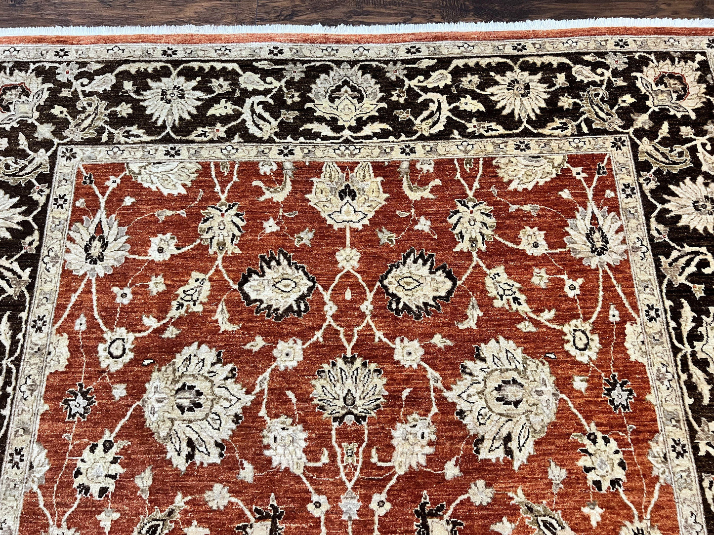 Pakistani Oriental Rug 6x9, Red, Floral Allover, Handmade Wool Rug, Peshawar Chobi Rug, Pak Persian Carpet 6 x 9 - Nuvé