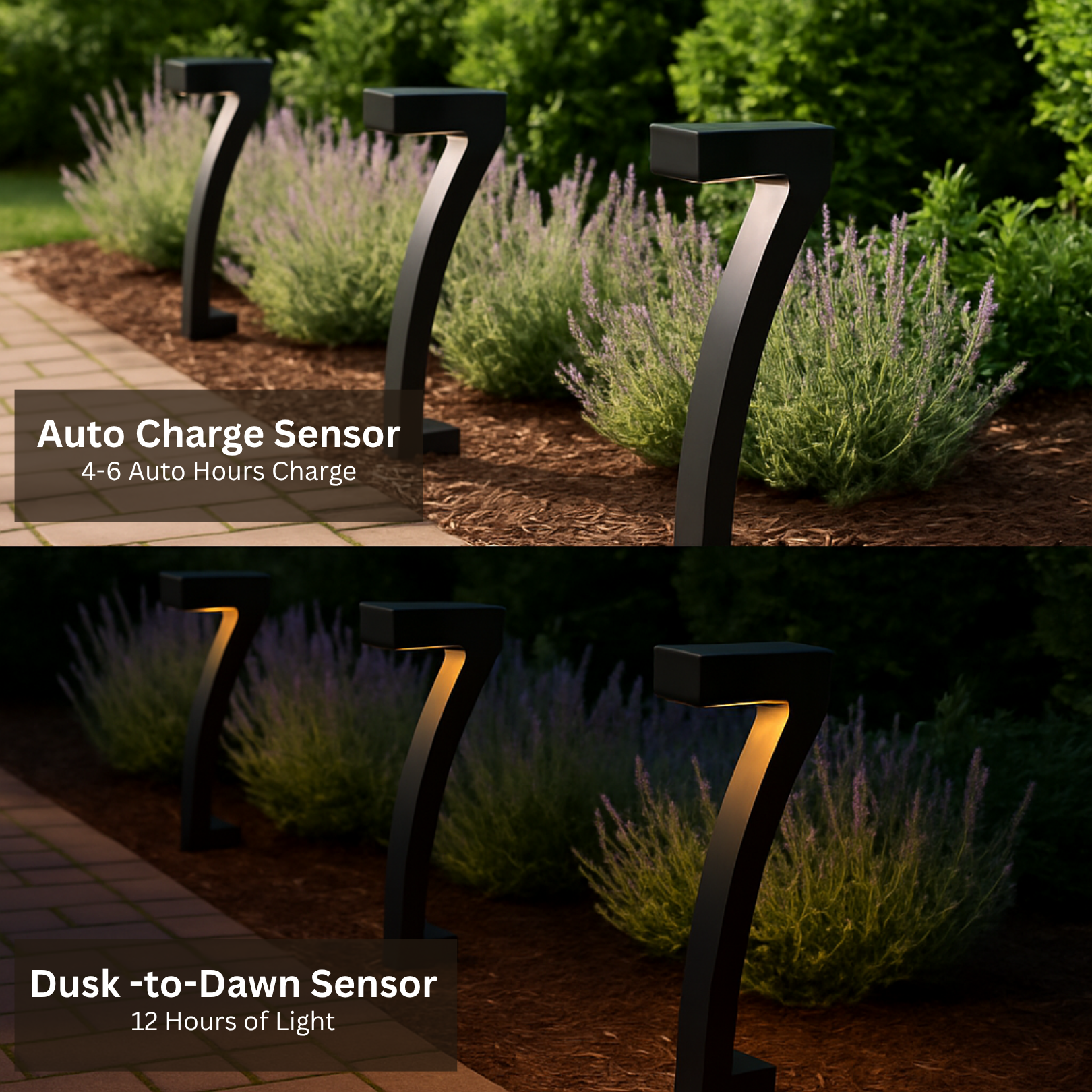 Nuvé® Luma Arc - Nuvé