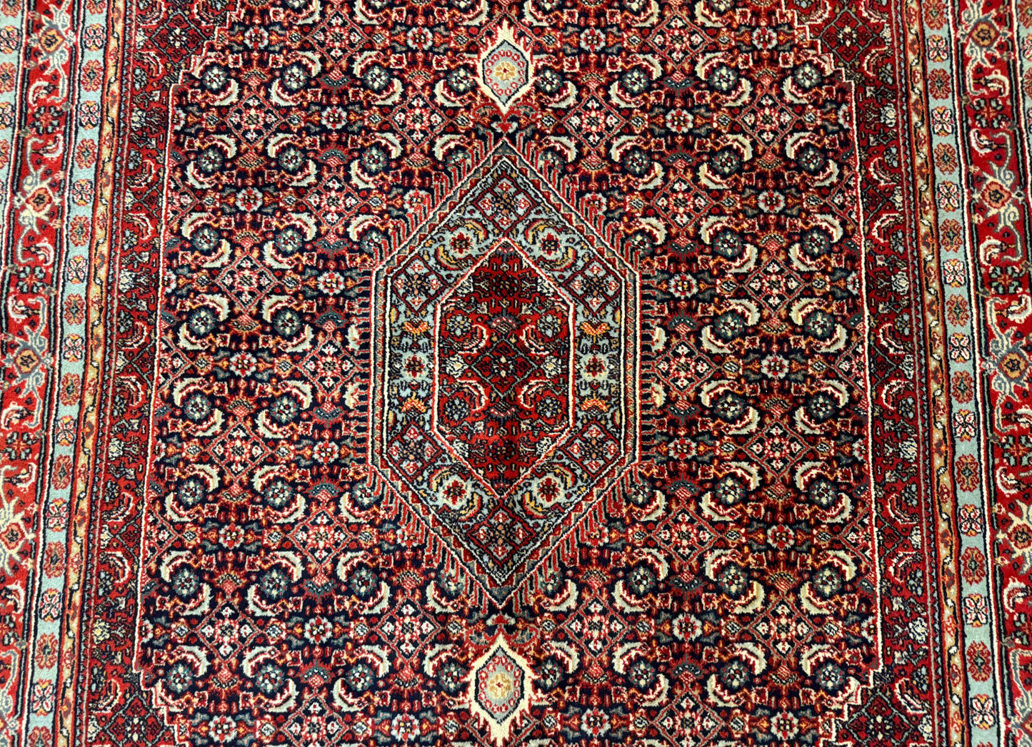 Indo Persian Bijar Rug 6x9, Hand Knotted Wool Carpet - Nuvé