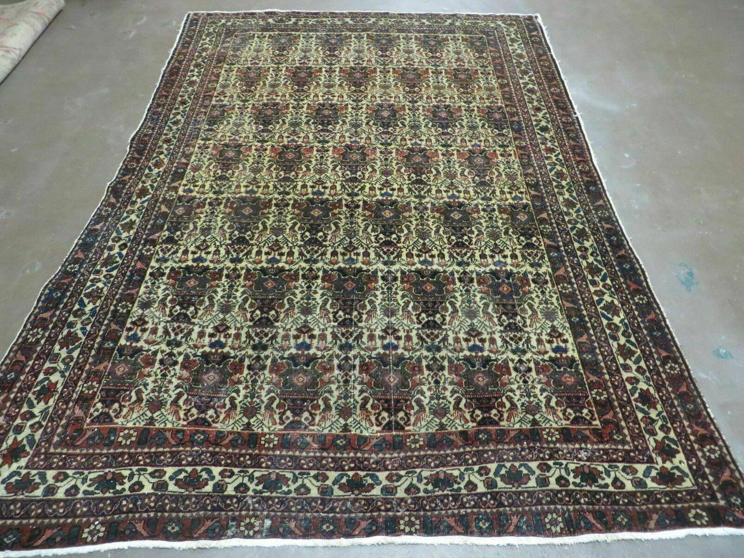 Antique Persian Afshar Rug 5x7, Wool Hand Knotted Oriental Carpet 5 x 7 ft, Repeated Motif Allover, Cream and Maroon, Tribal Rug, Medium Sized Rug, Zil-i-Sultan Design - Nuvé