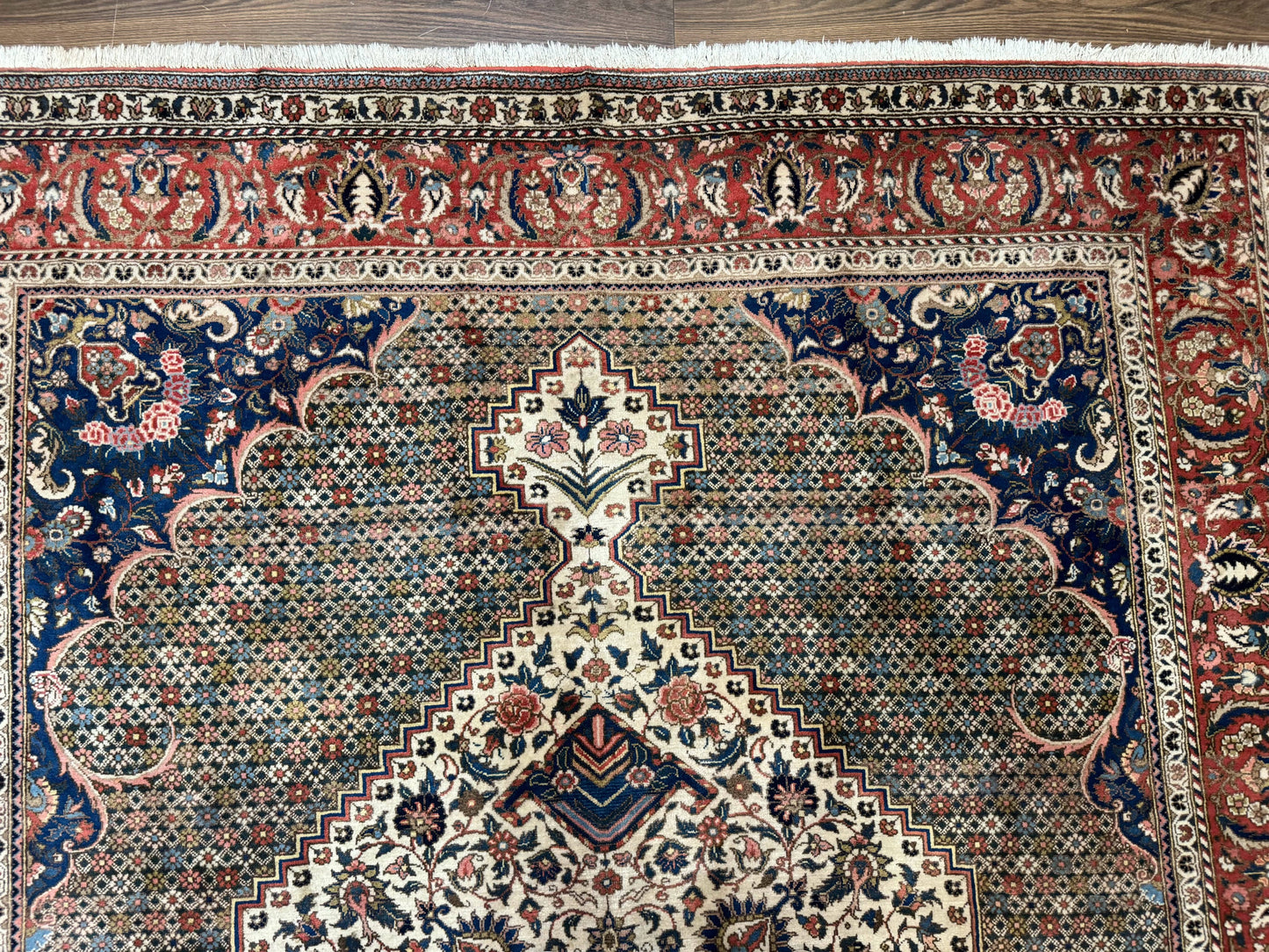 Persian Rug 7x10, Bakhtiari Saman Rug, Unique Design and Colors, Ivory Red Blue, Large Tribal Rug - Nuvé