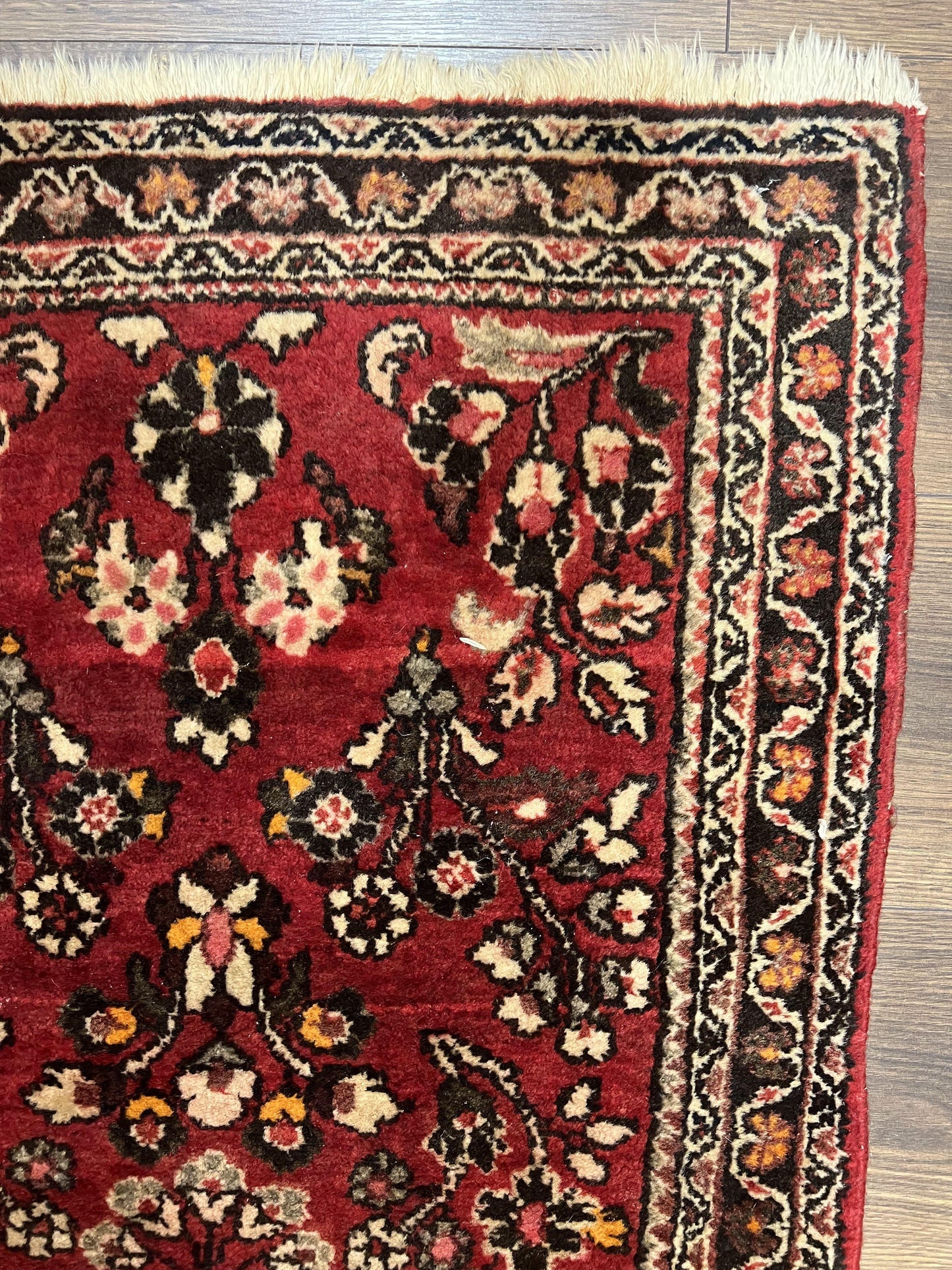 Small Persian Sarouk Rug 2x4 ft, Allover Floral Pattern, Red Black Cream, Hand Knotted Wool Traditional Oriental Carpet, Antique Persian Rug 2 x 4 - Nuvé