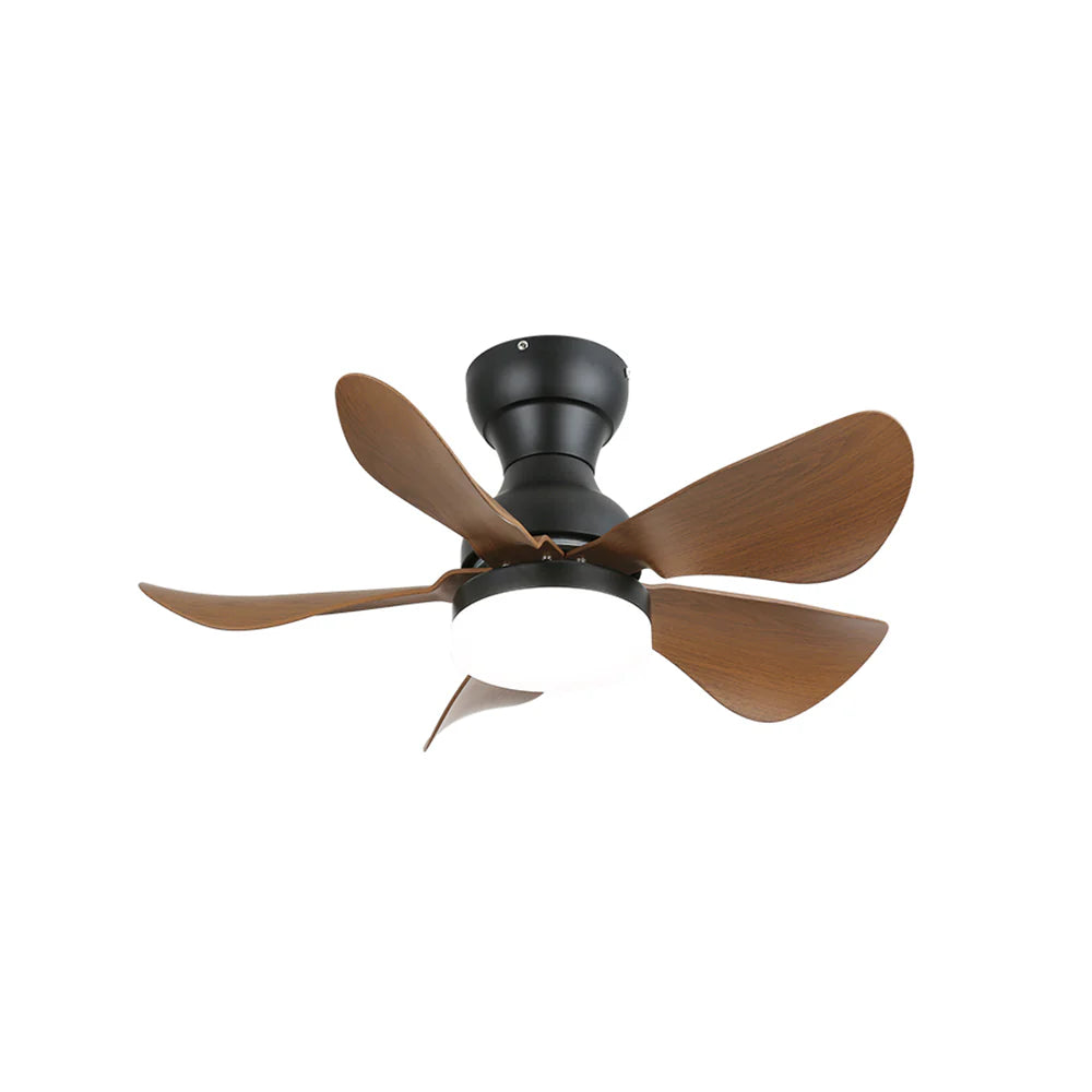 Arilia Small Blade Ceiling Fan Light - Nuvé