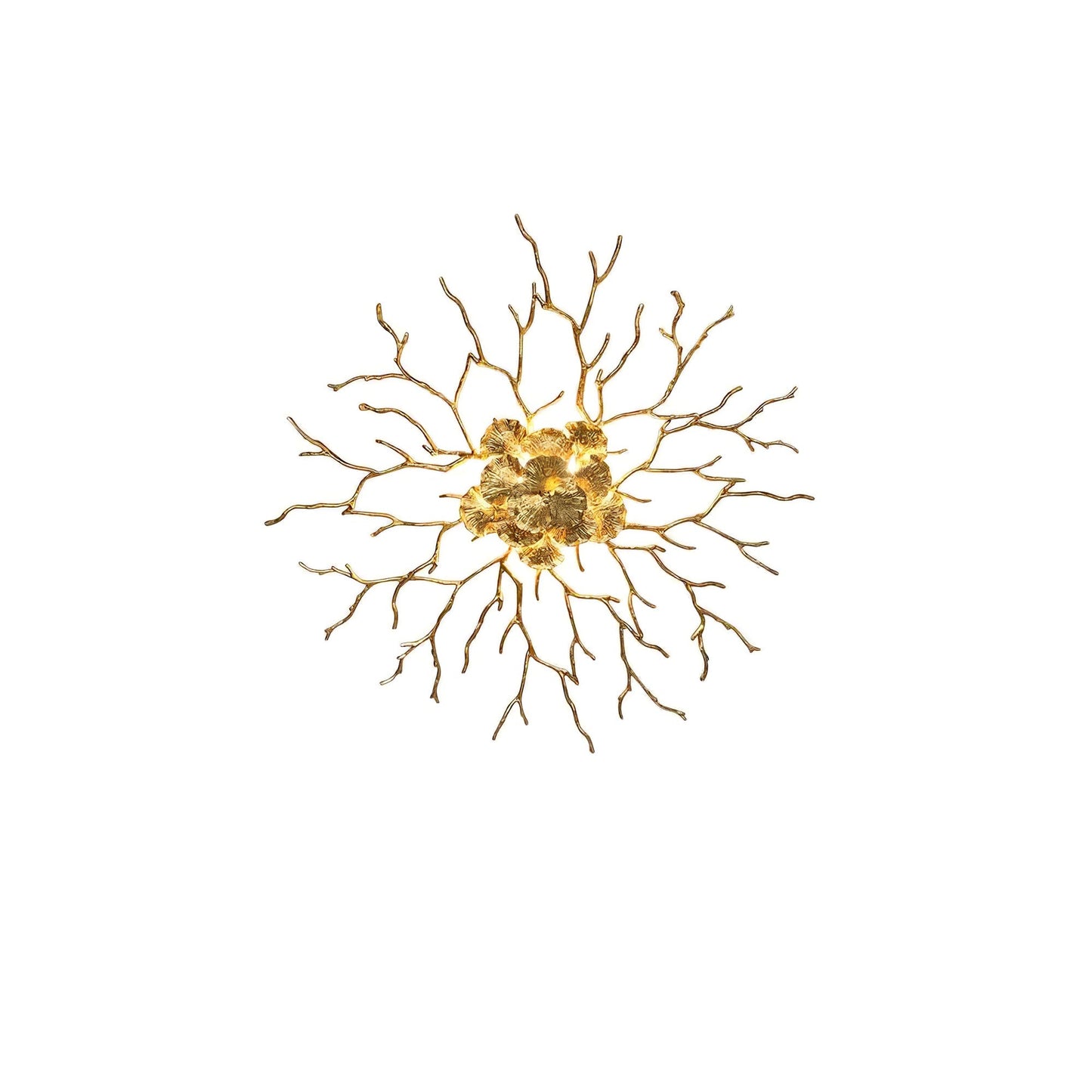 Coral Zoa Eye Wall Lamp - Nuvé