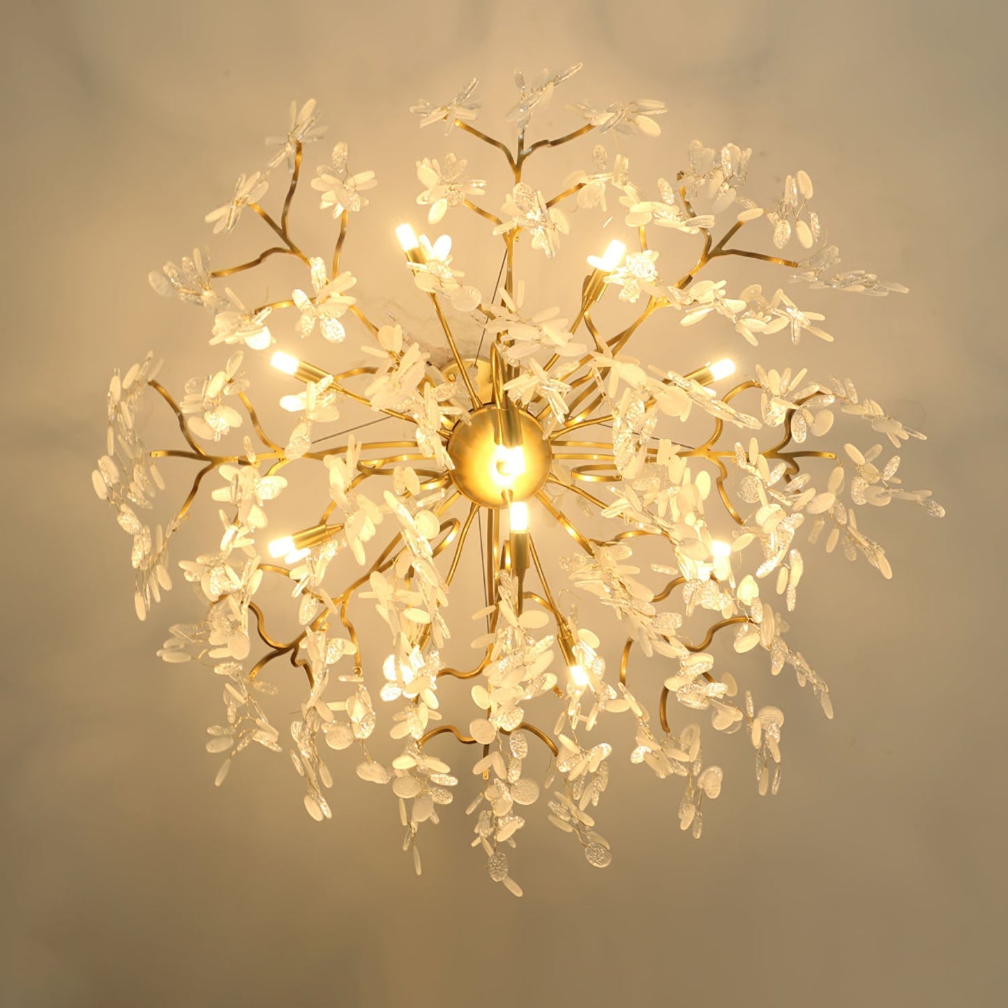 Shiro Noda Round Chandelier - Nuvé