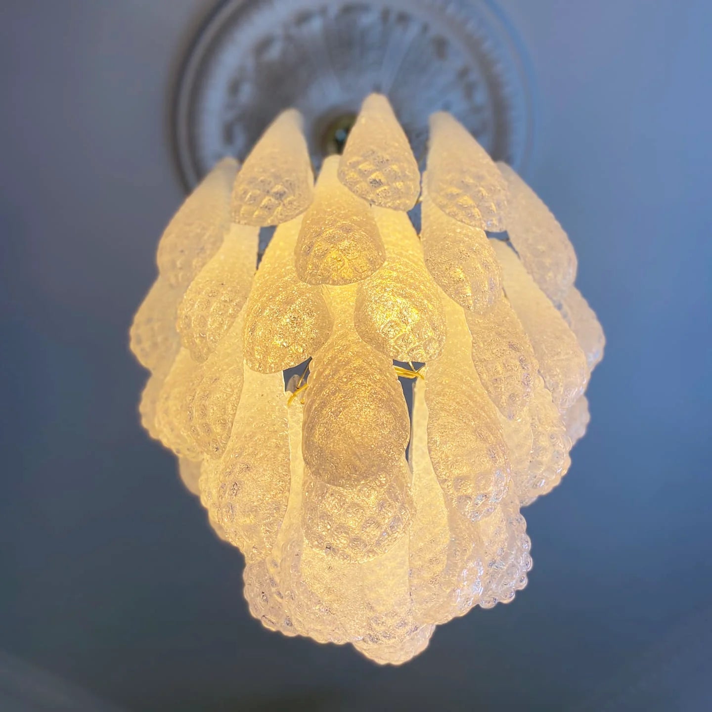 Vintage Murano Transparent Glass Petals Chandelier - Nuvé
