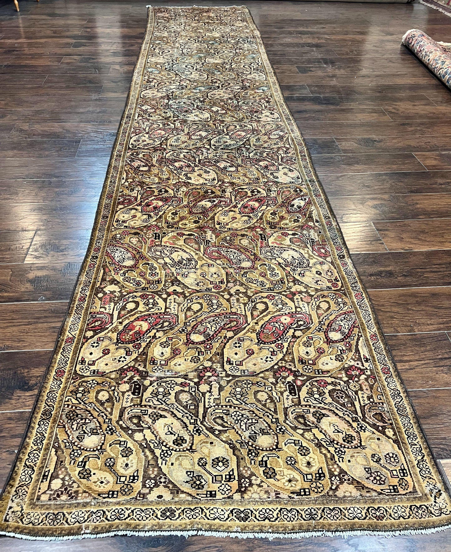Antique Persian Malayer Runner Rug 3x16, Repeated Boteh Paisley Design, Rare Rug, 1920s Antique Oriental Carpet, Wool Handmade Hand Knotted 3 x 16 ft Rug - Nuvé