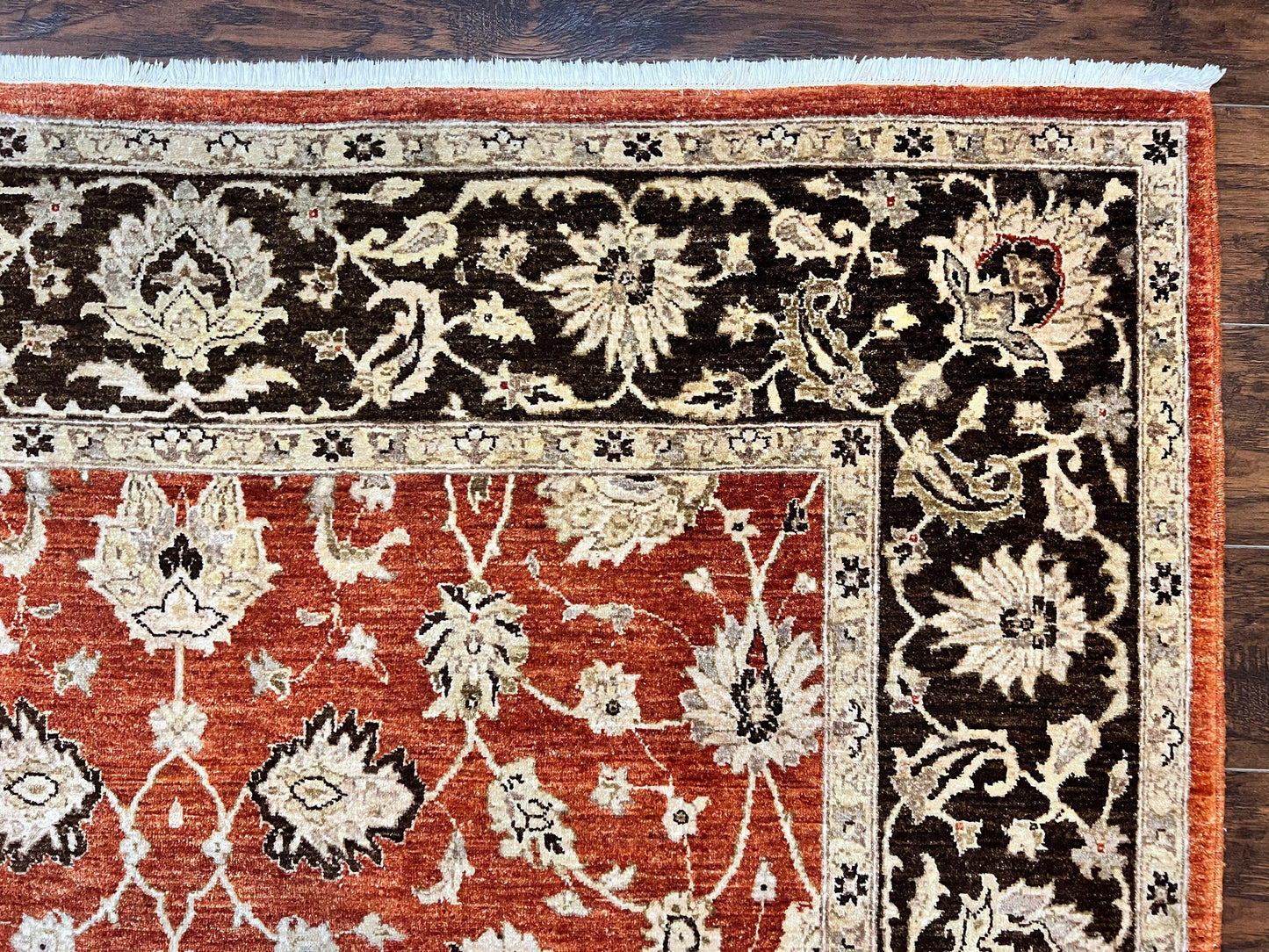 Pakistani Oriental Rug 6x9, Red, Floral Allover, Handmade Wool Rug, Peshawar Chobi Rug, Pak Persian Carpet 6 x 9 - Nuvé