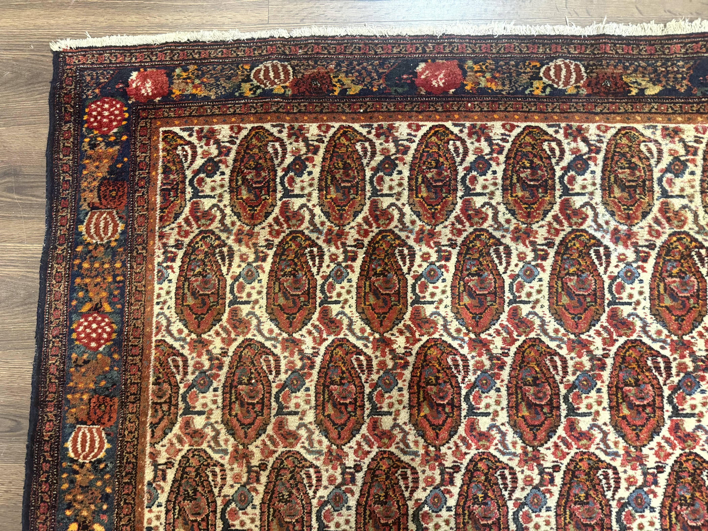 Antique Persian Kurdish Senneh Rug 4.6 x 6.5, Repeated Paisely Boteh Design, Handmade - Nuvé