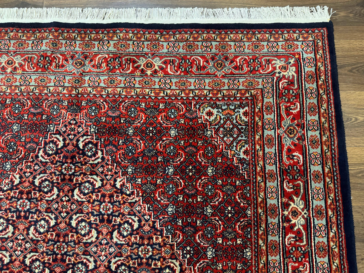 Indo Persian Bijar Rug 6x9, Hand Knotted Wool Carpet - Nuvé