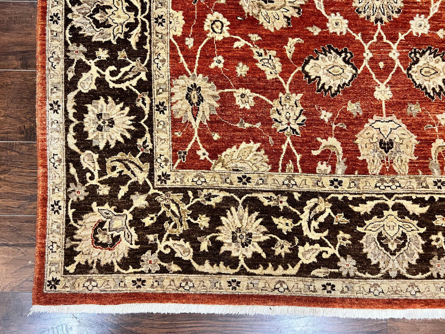 Pakistani Oriental Rug 6x9, Red, Floral Allover, Handmade Wool Rug, Peshawar Chobi Rug, Pak Persian Carpet 6 x 9 - Nuvé