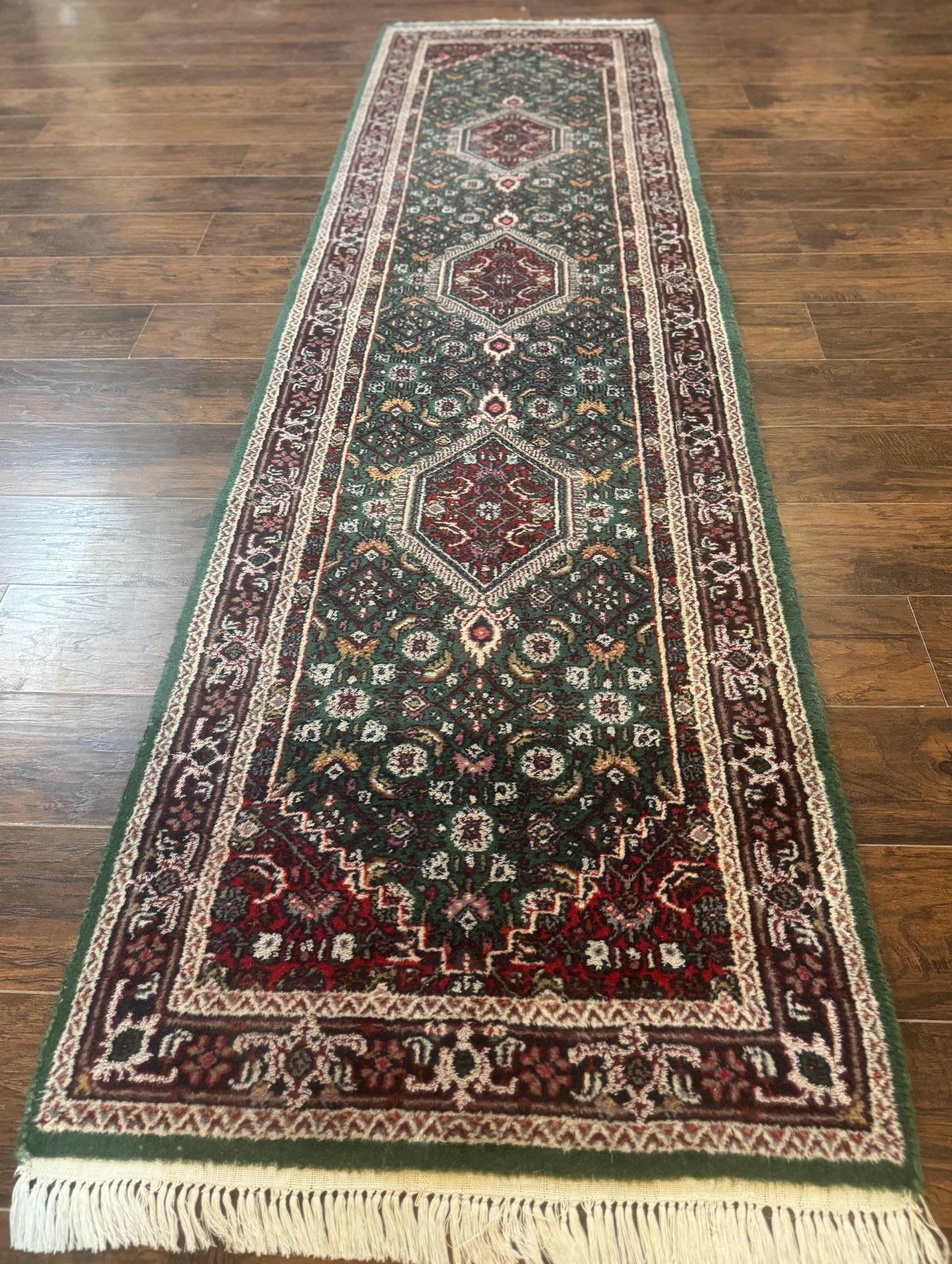 Green Indo Persian Bidjar Runner Rug 3x10, Green and Red - Nuvé
