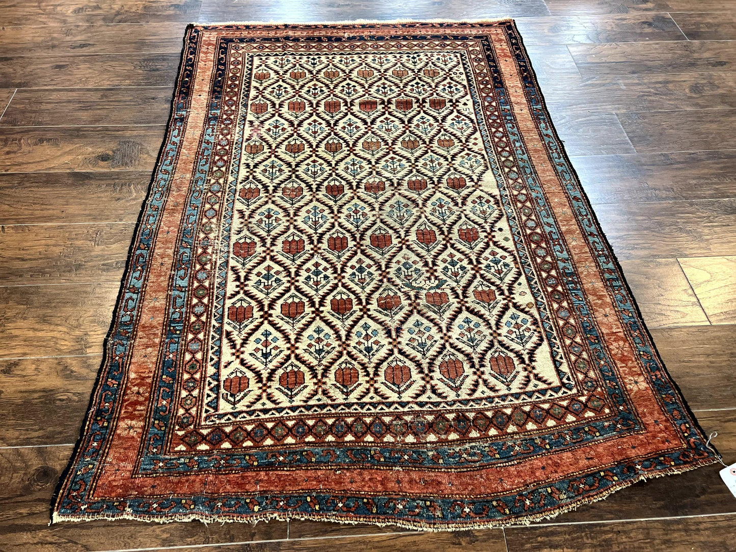 Antique Caucasian Rug 4x6, Hand Knotted Wool Carpet, Shirvan Rug - Nuvé