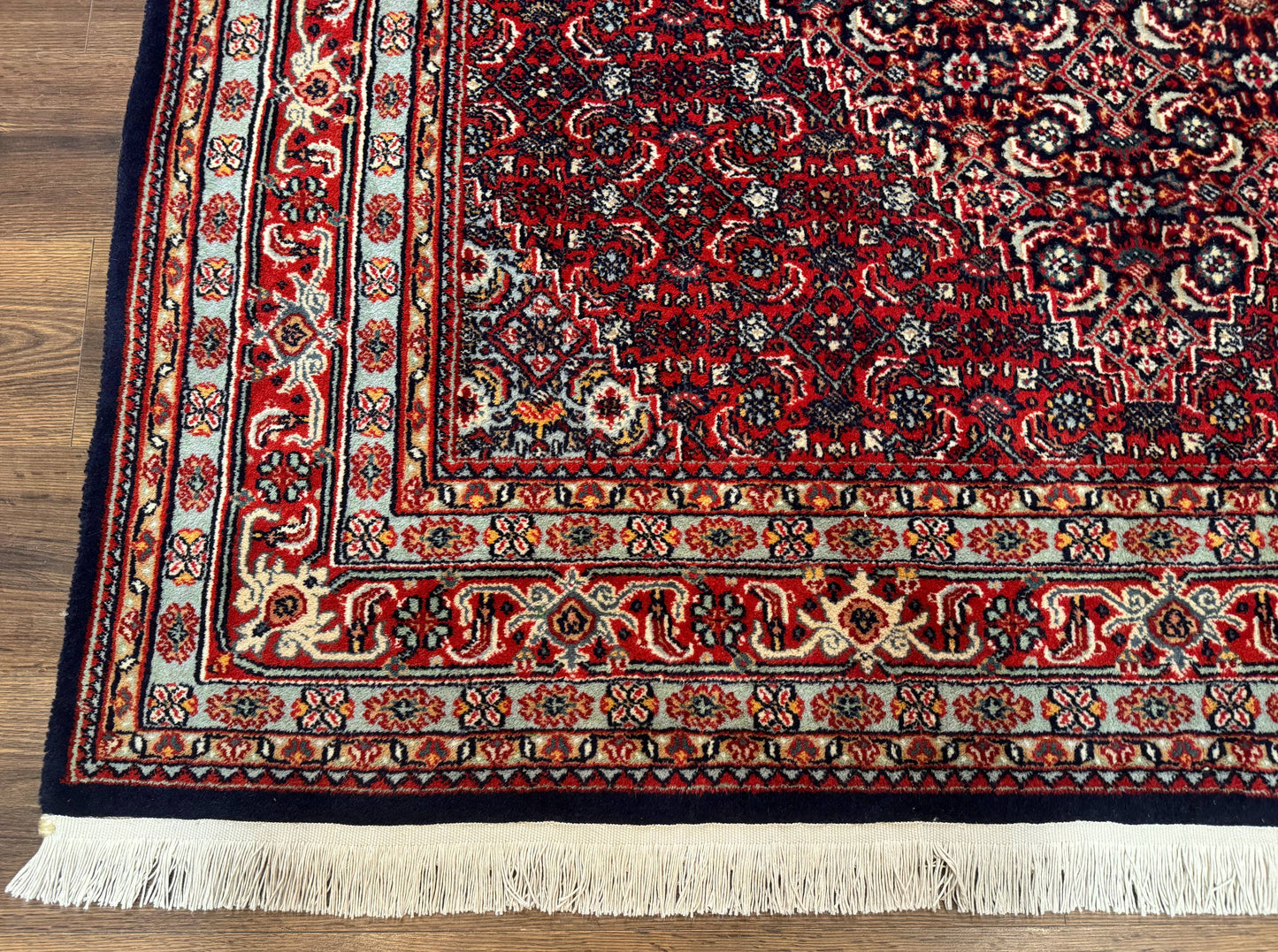 Indo Persian Bijar Rug 6x9, Hand Knotted Wool Carpet - Nuvé