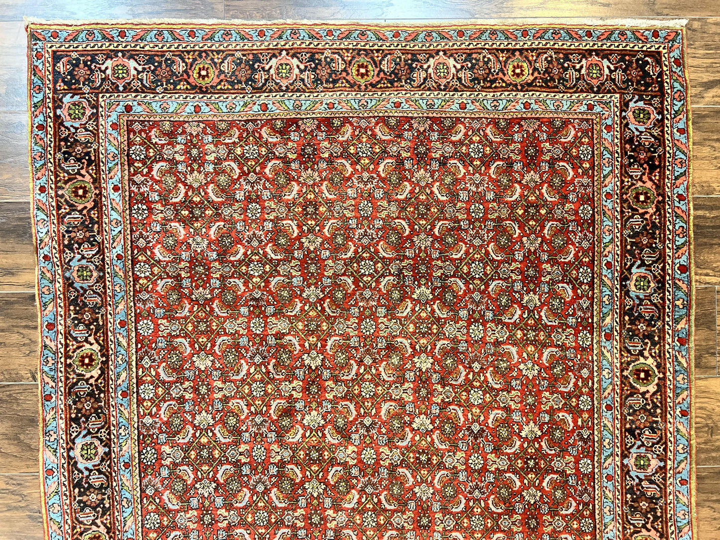 Antique Persian Bidjar Rug 5x7, Repeated Allover Herati Pattern, Red, Handmade Wool Carpet - Nuvé