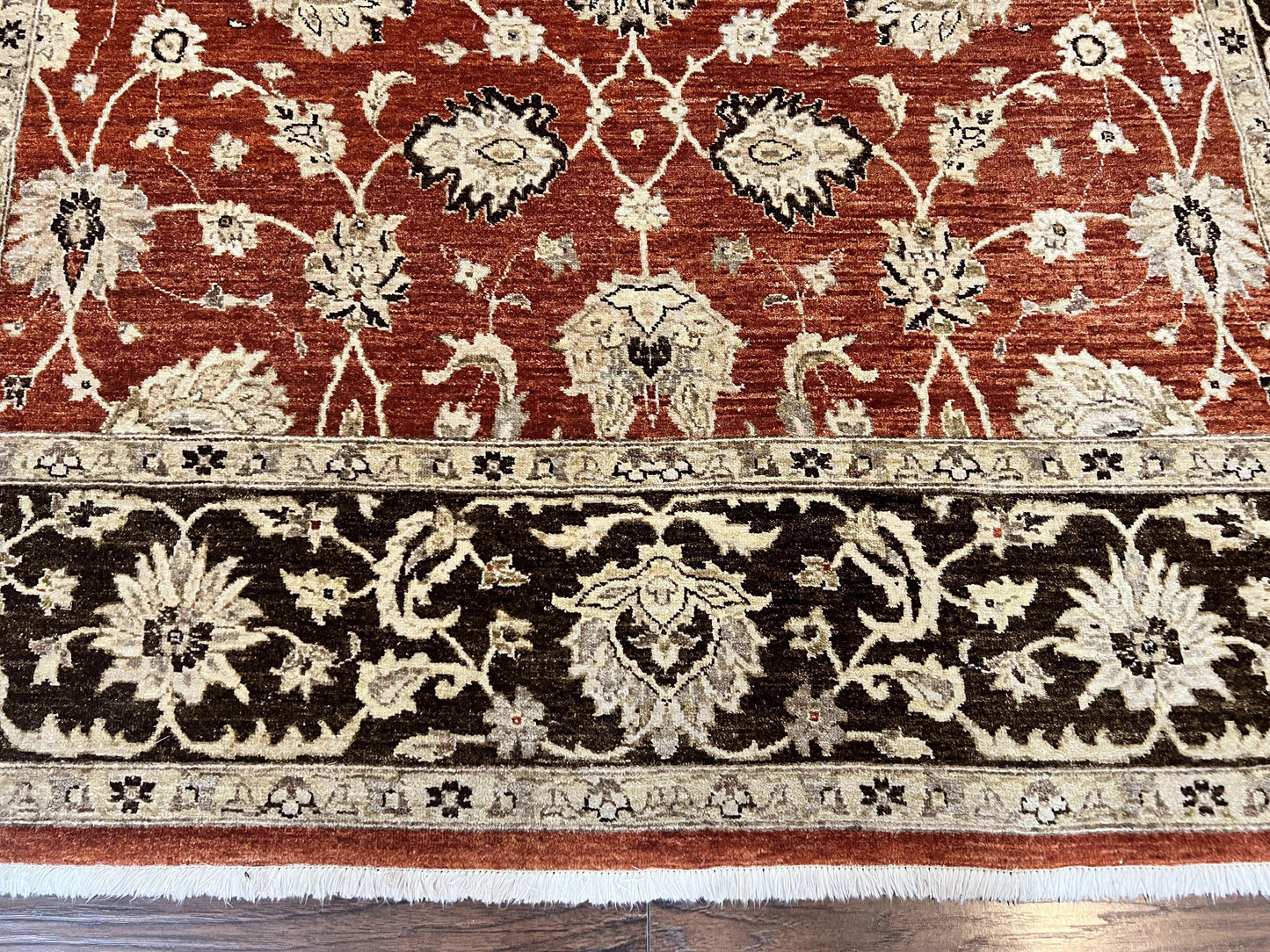 Pakistani Oriental Rug 6x9, Red, Floral Allover, Handmade Wool Rug, Peshawar Chobi Rug, Pak Persian Carpet 6 x 9 - Nuvé