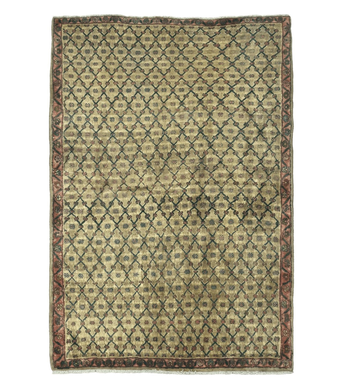 4' X 6' Handmade Indian Allover Wool Rug Camel Hair Color #119