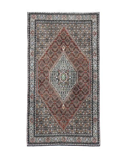 Persian Bidjar Rug 5x10, Wool Hand Knotted Vintage Carpet, Highly Detailed, Mahi Herati Pattern, 5 x 10 Oriental Rug
