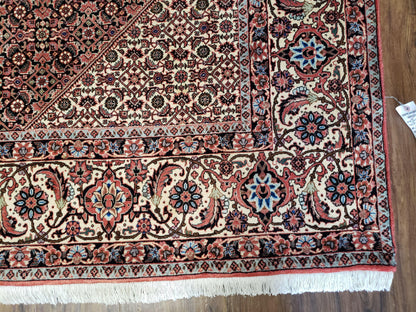Persian Bijar Rug 8x11 - Herati Mahi Pattern - Nuvé