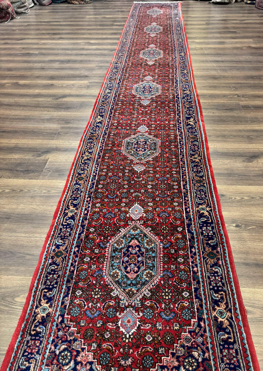 Indo Persian Bidjar Runner Rug 3 x 18.6, Red Navy Blue, Long Runner, Wool Oriental Carpet - Nuvé