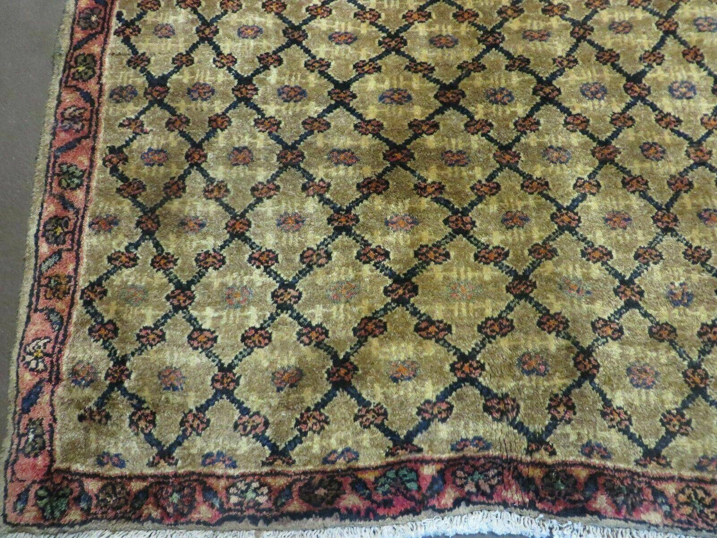 4' X 6' Handmade Indian Allover Wool Rug Camel Hair Color #119 - Nuvé