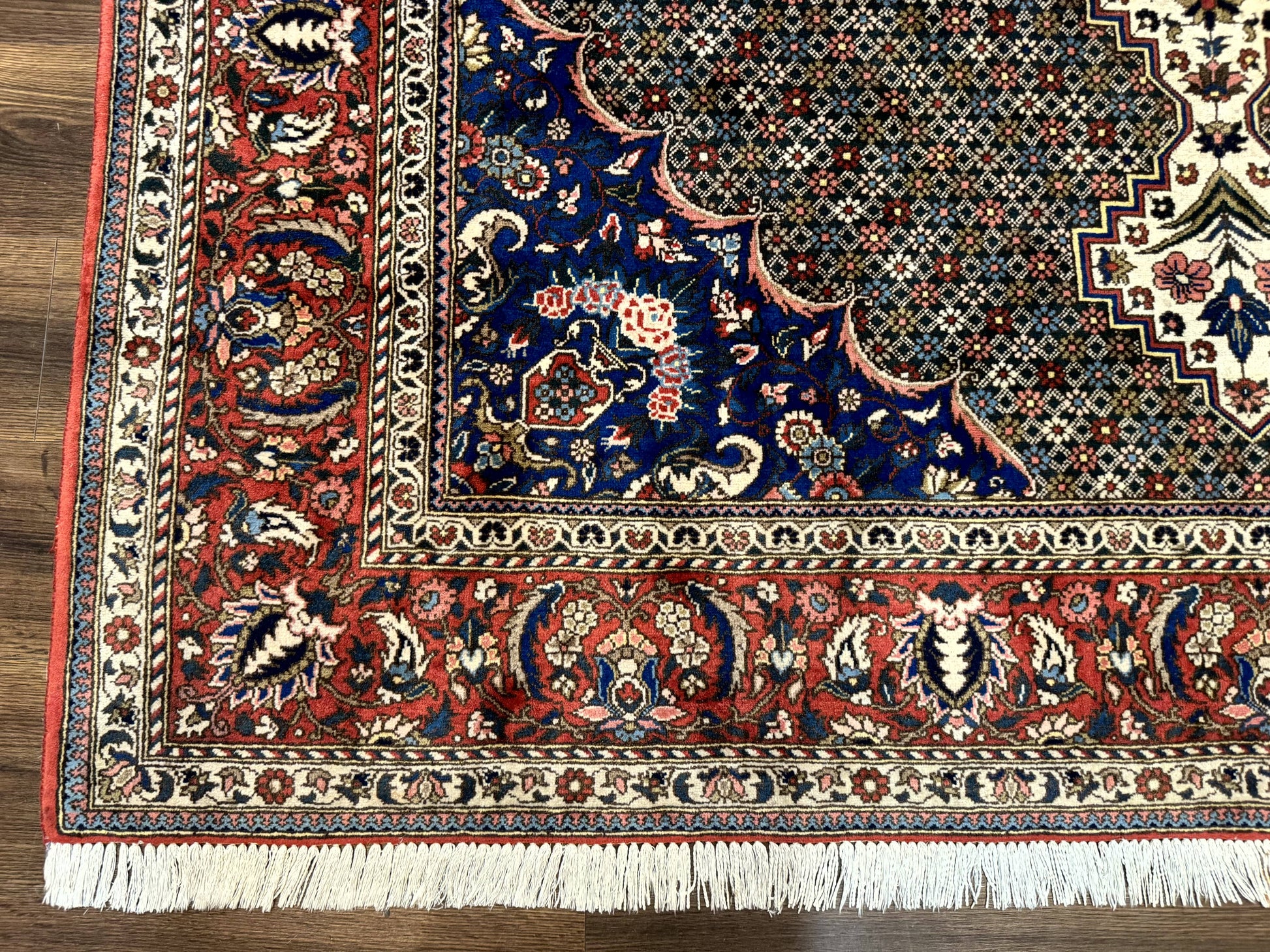 Persian Rug 7x10, Bakhtiari Saman Rug, Unique Design and Colors, Ivory Red Blue, Large Tribal Rug - Nuvé
