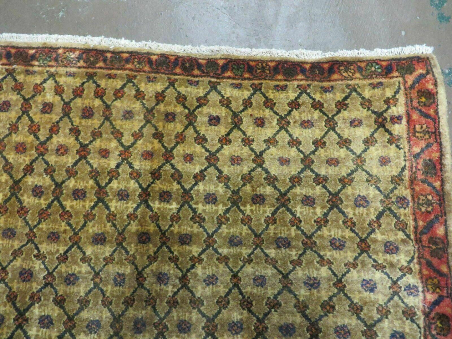 4' X 6' Handmade Indian Allover Wool Rug Camel Hair Color #119 - Nuvé