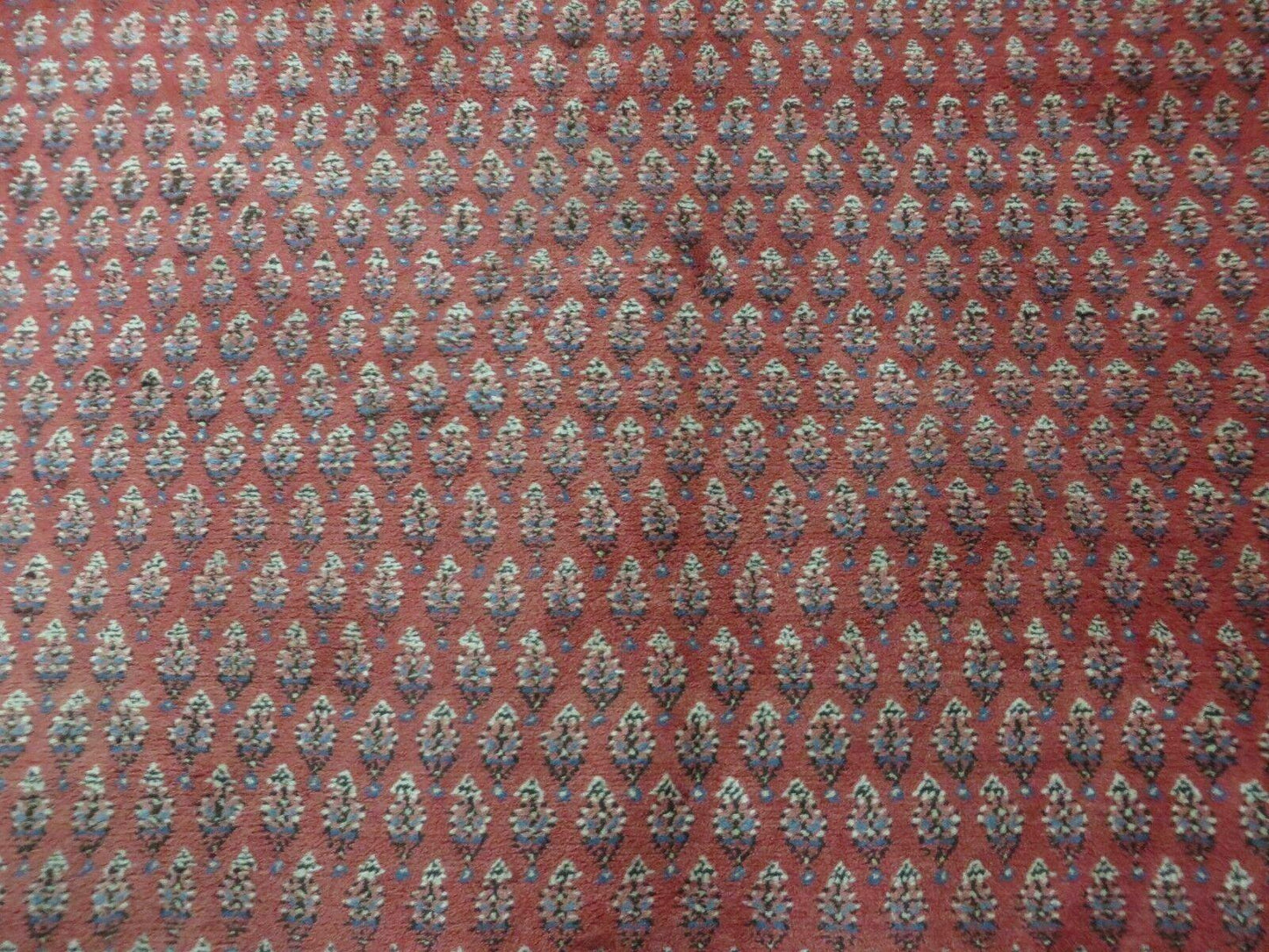 7' X 9' Vintage India Oriental Paisley Handmade Wool Rug Red Vegetable Dyes - Nuvé