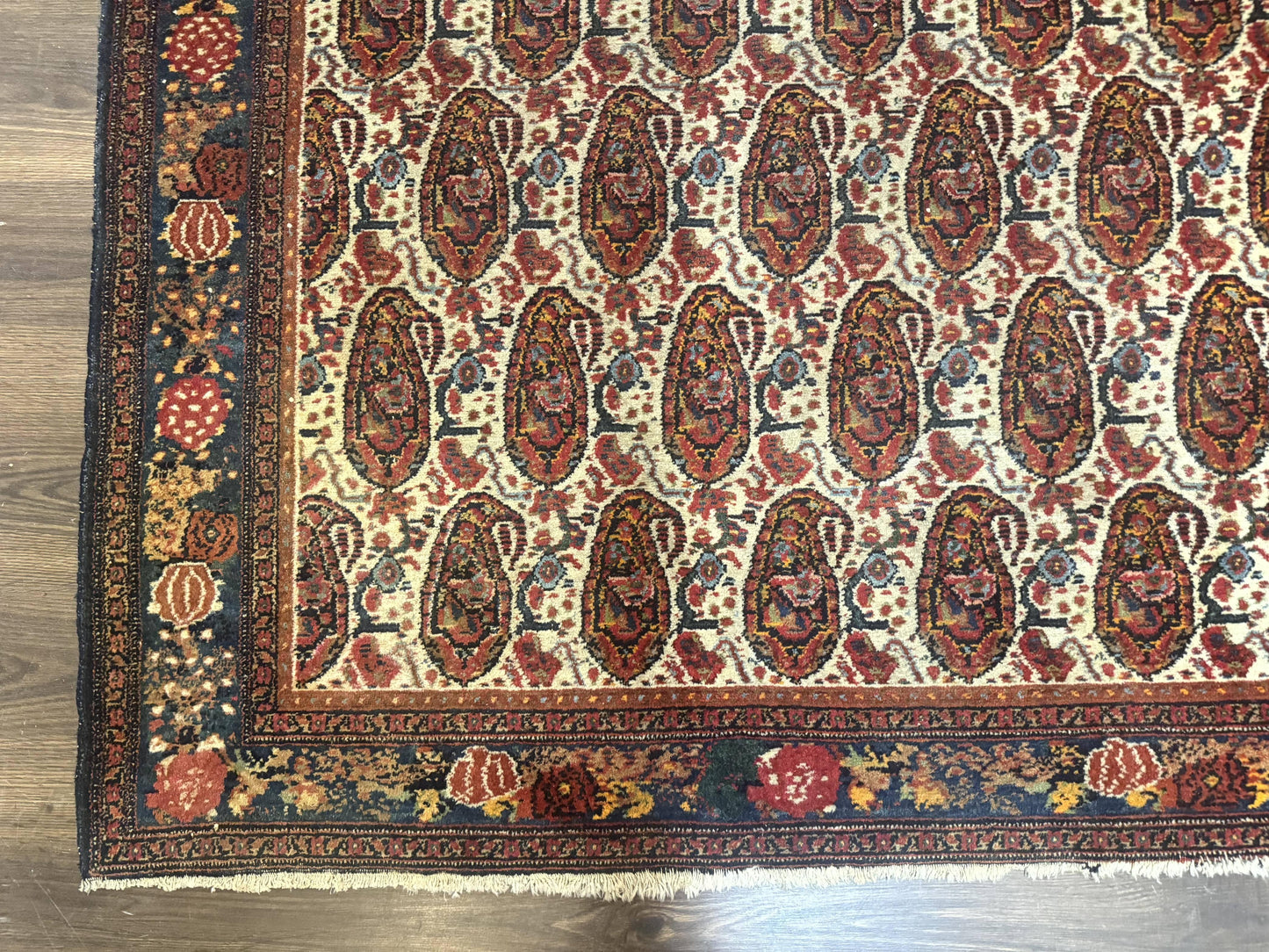 Antique Persian Kurdish Senneh Rug 4.6 x 6.5, Repeated Paisely Boteh Design, Handmade - Nuvé