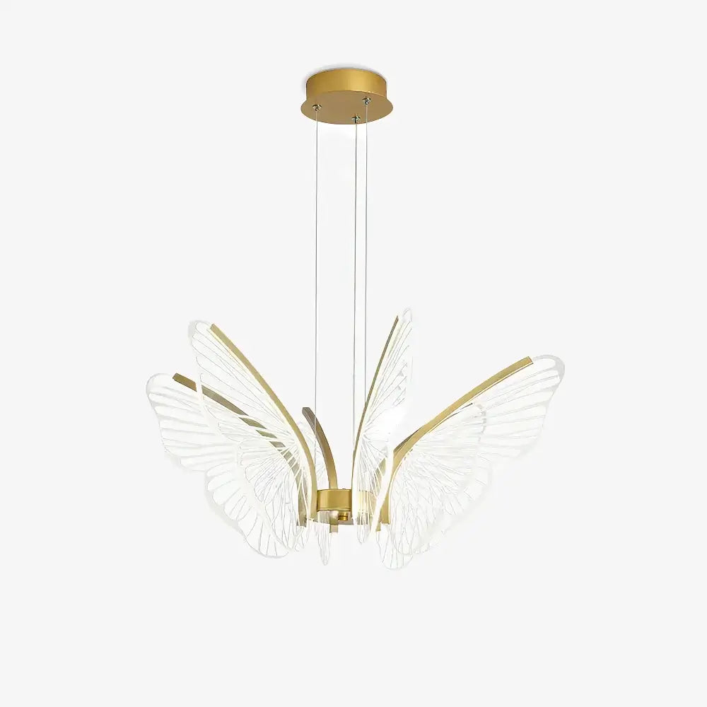 Phalaenopsis Chandelier - Nuvé