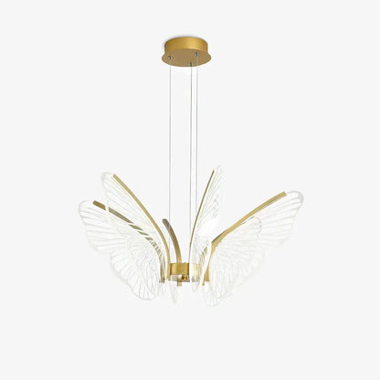 Phalaenopsis Chandelier - Nuvé