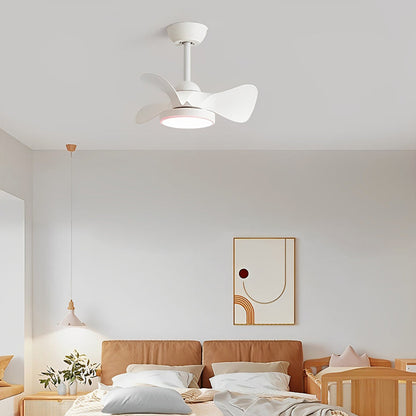 Nordic 3 Blades Ceiling Fans Light - Nuvé