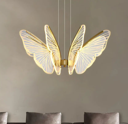 Phalaenopsis Chandelier - Nuvé