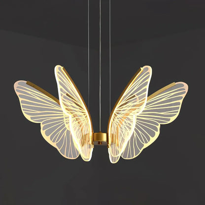 Phalaenopsis Chandelier - Nuvé