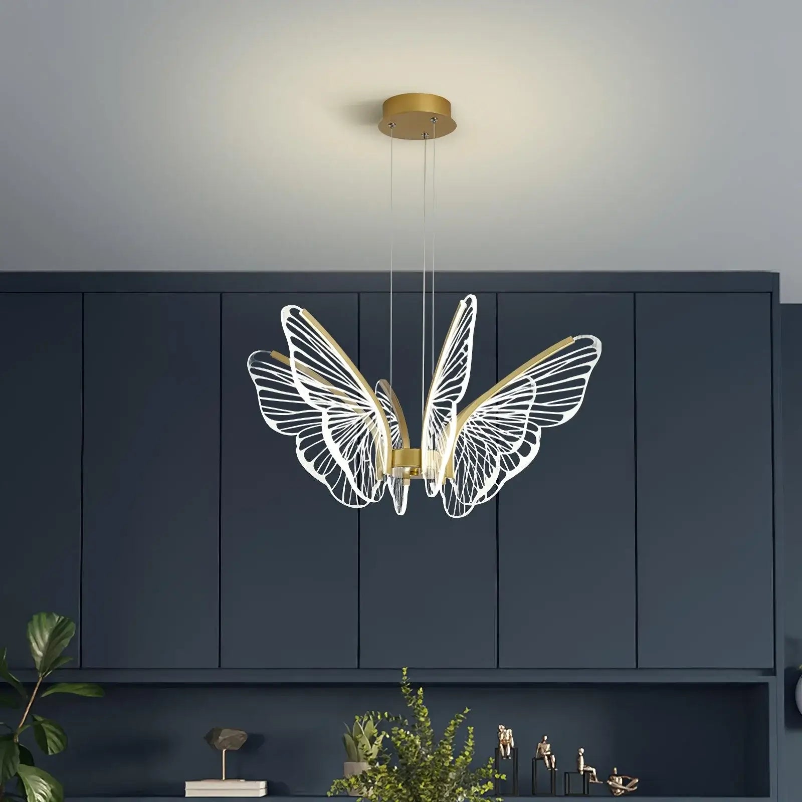 Phalaenopsis Chandelier - Nuvé