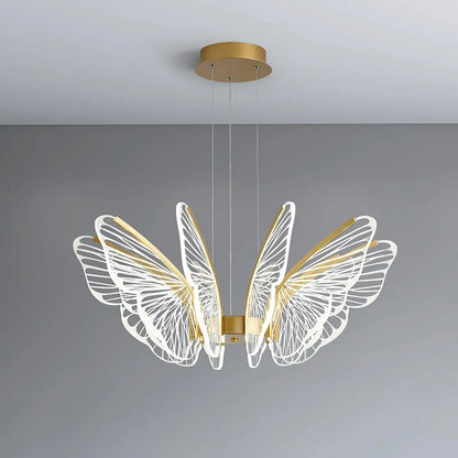 Phalaenopsis Chandelier - Nuvé